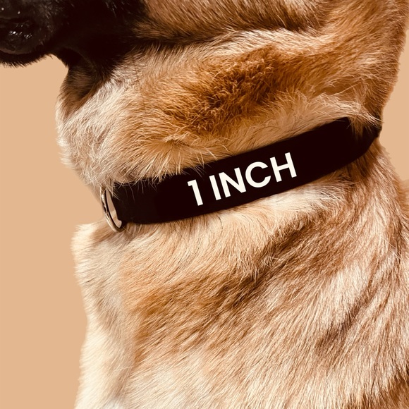 1” Dog Collar - Batman - Picture 5 of 8